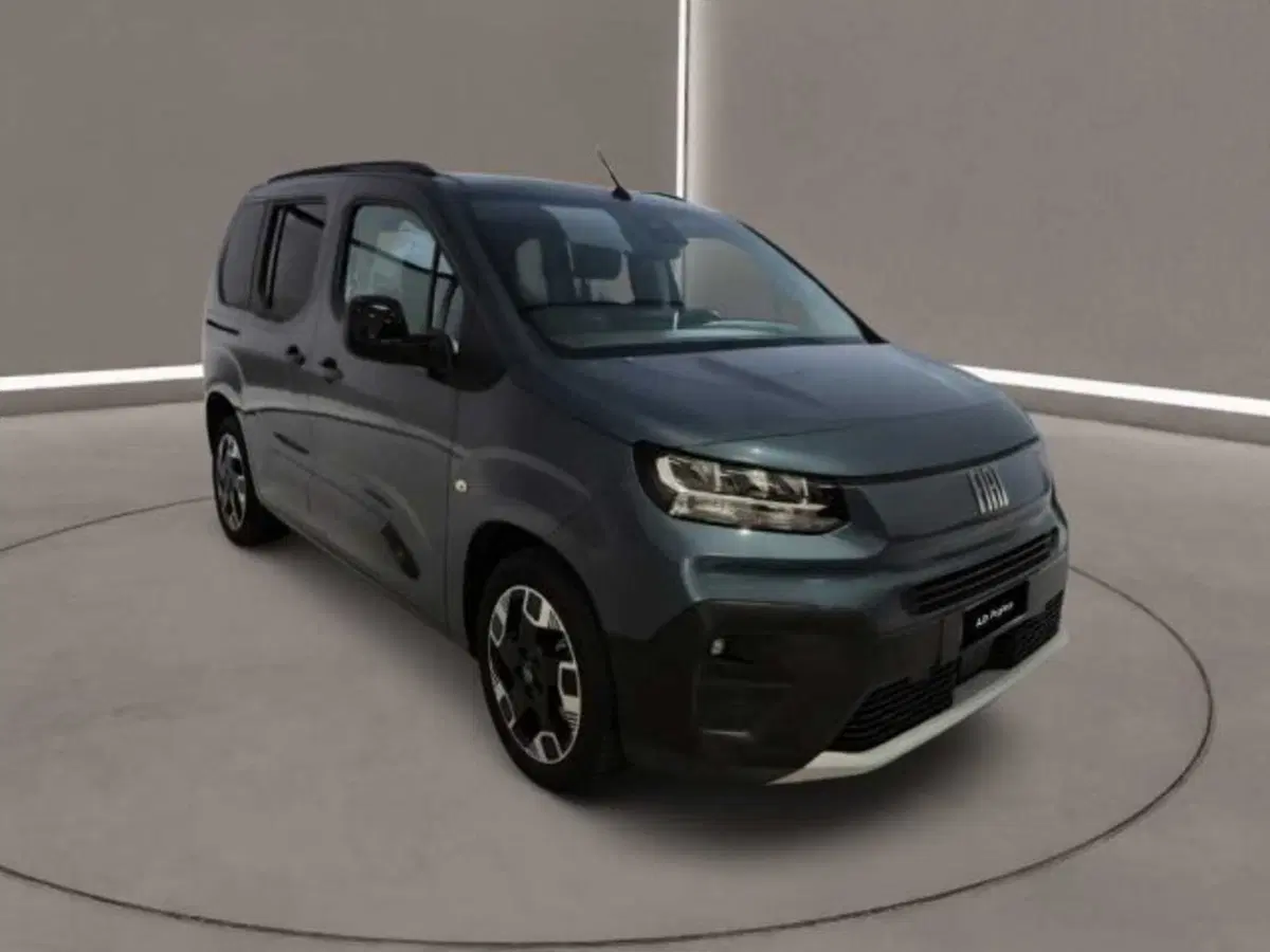 Fiat Doblò Furgone usata a Caltanissetta (3)