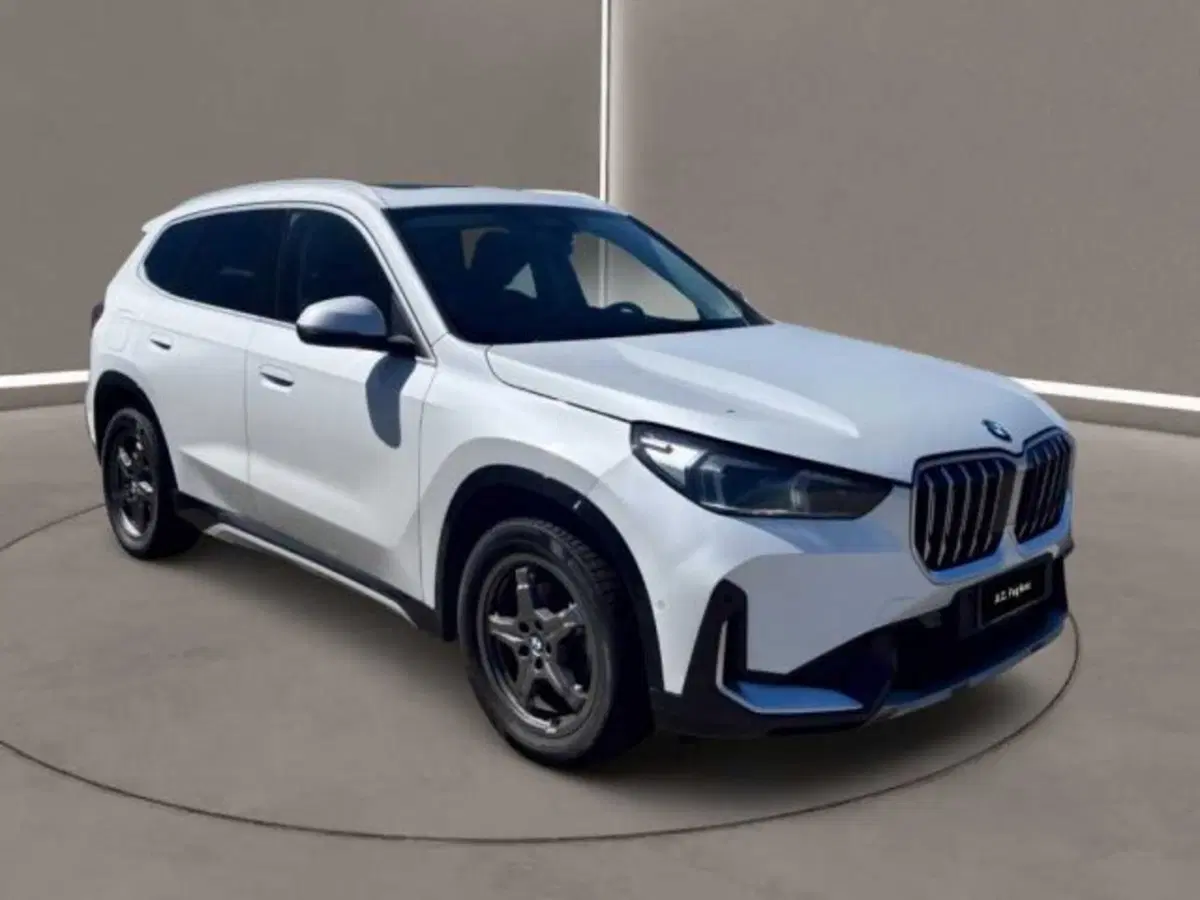BMW X1 usata a Caltanissetta (11)