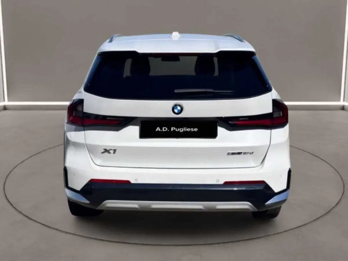 BMW X1 usata a Caltanissetta (4)
