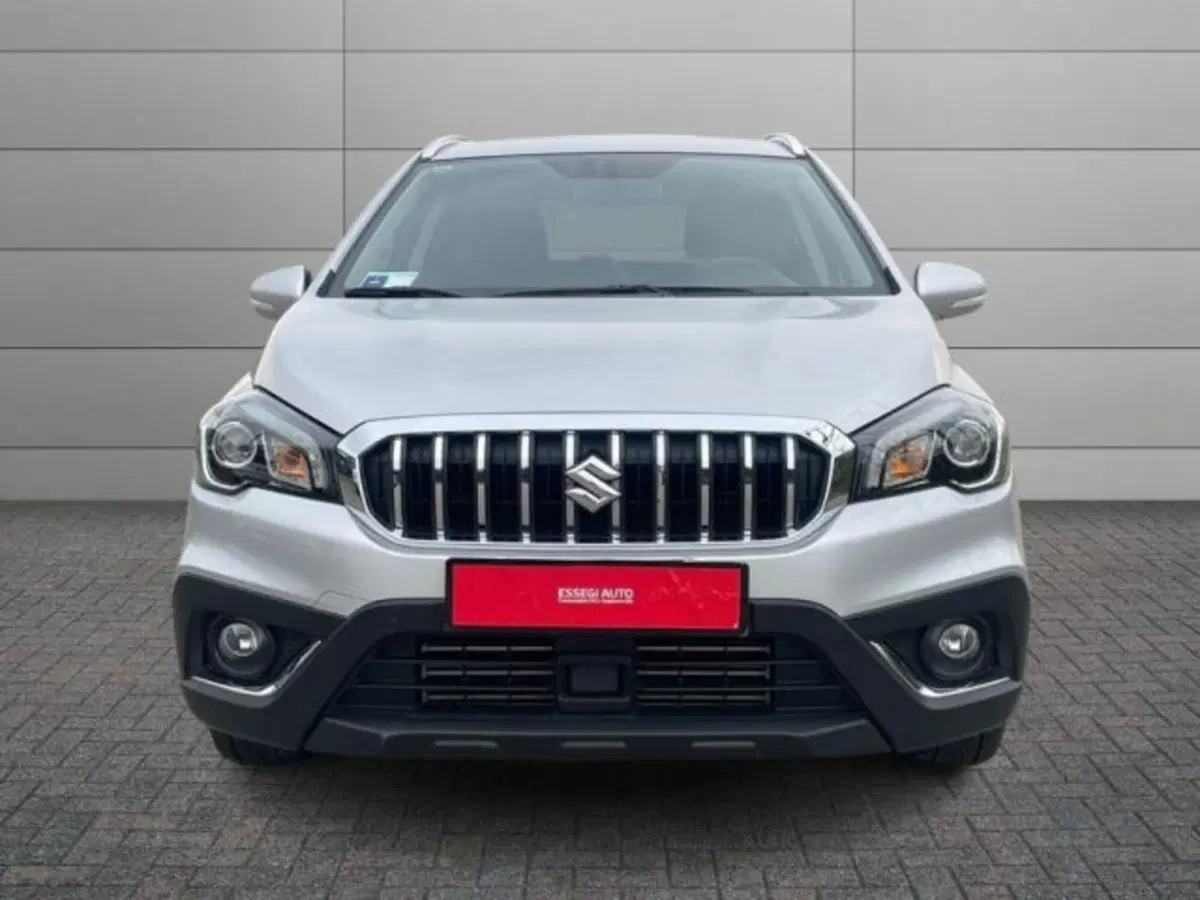Suzuki S-Cross usata a Vercelli (12)