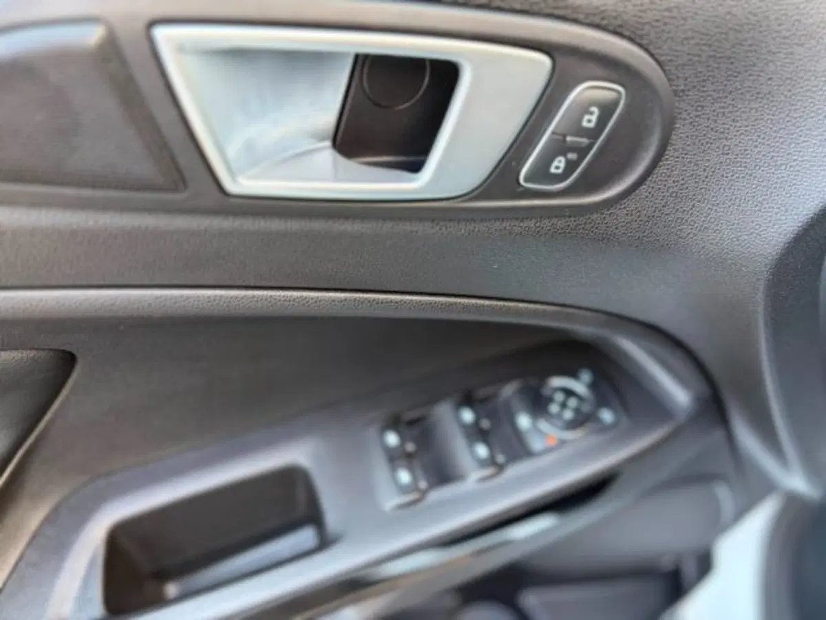 Ford EcoSport usata a Lodi (12)