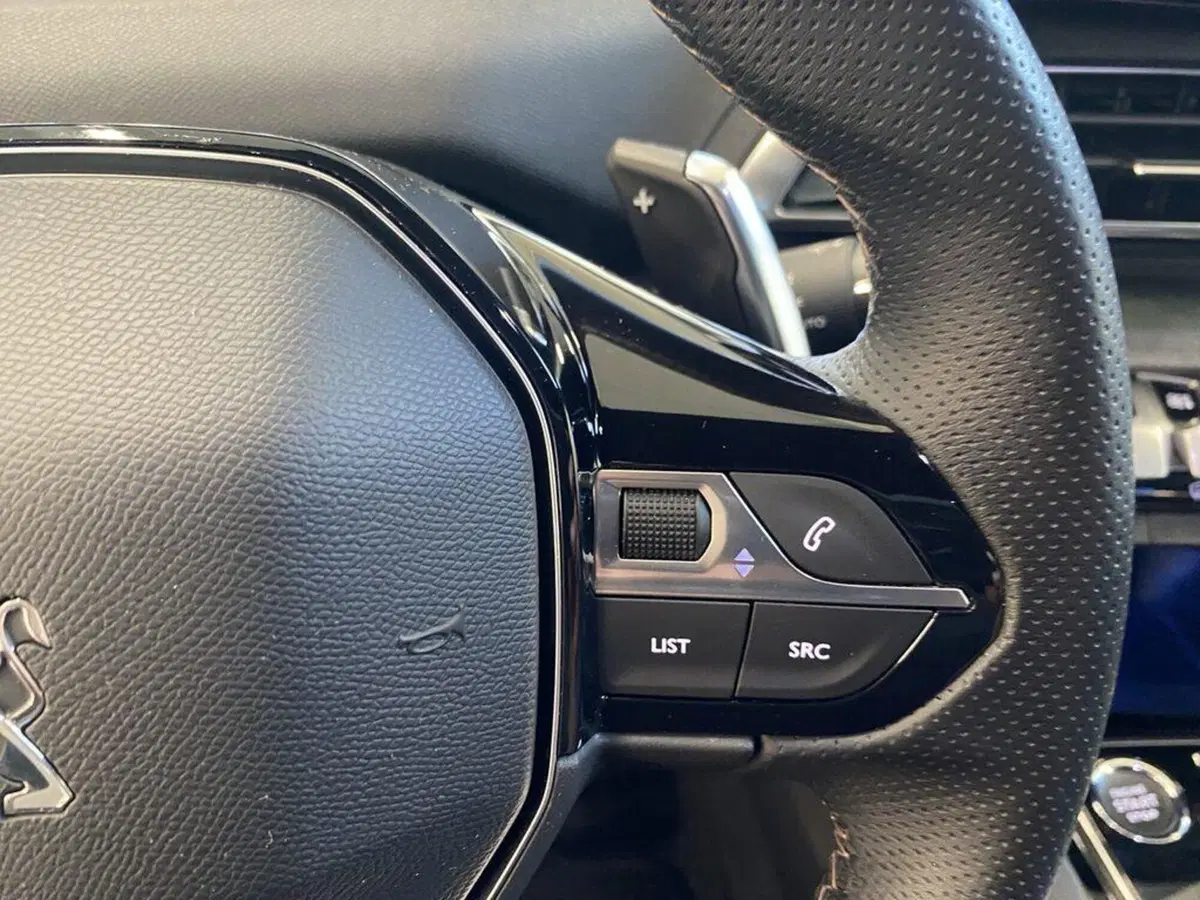 Peugeot 3008 usata a Torino (13)