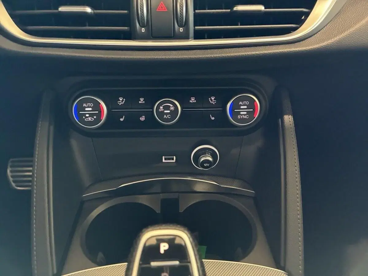 Alfa Romeo Stelvio usata a Torino (11)