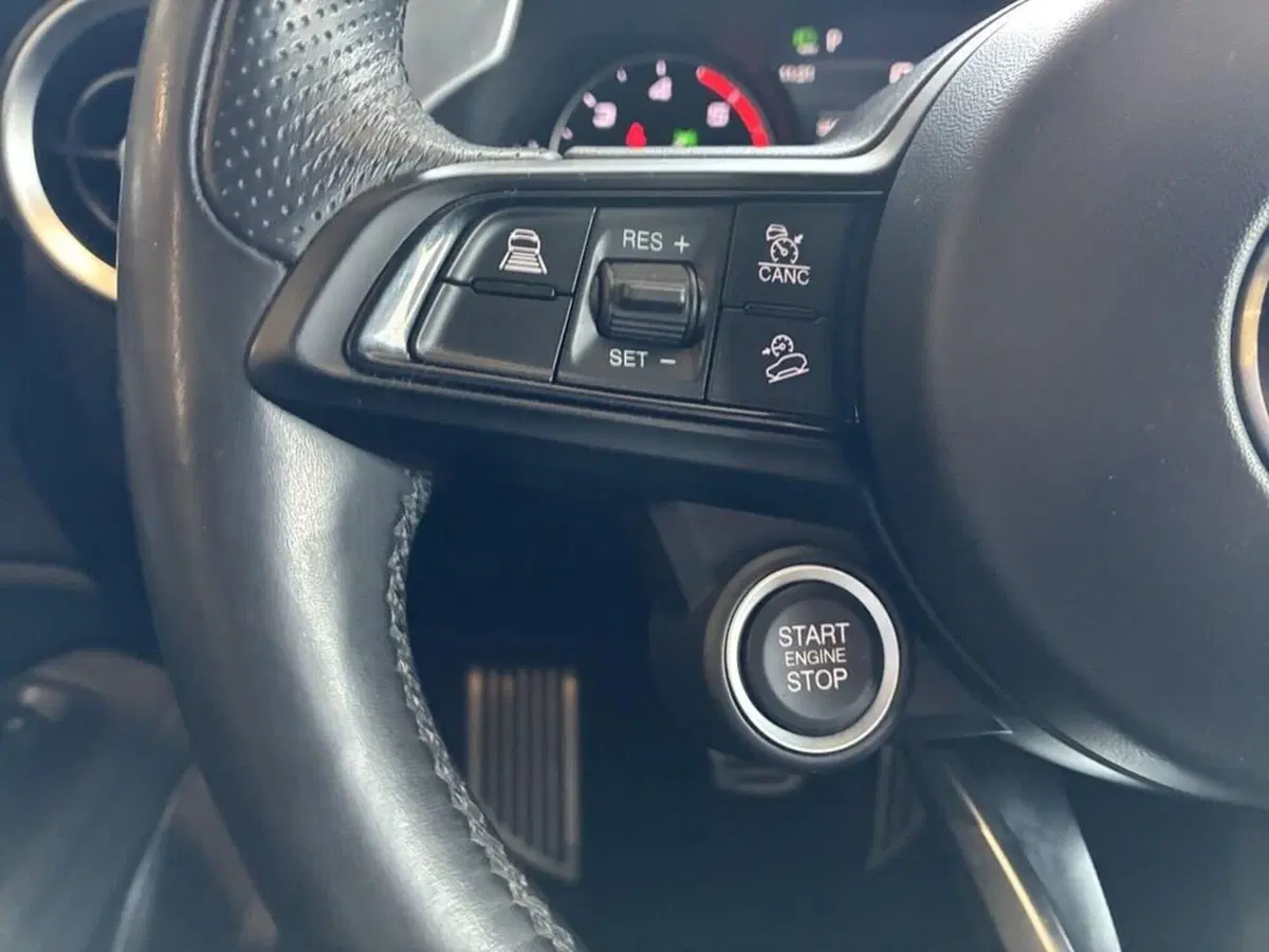 Alfa Romeo Stelvio usata a Torino (14)