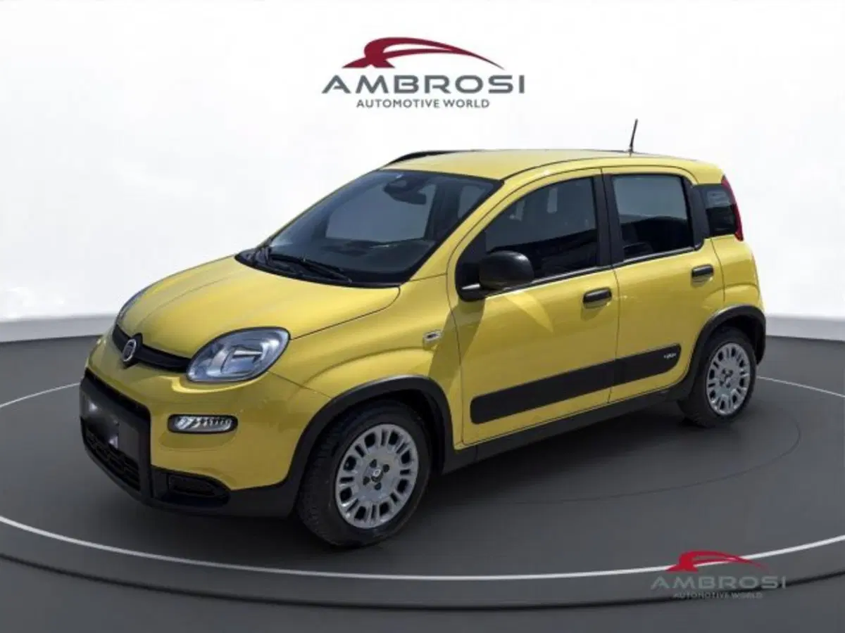 Fiat Panda usata a Perugia