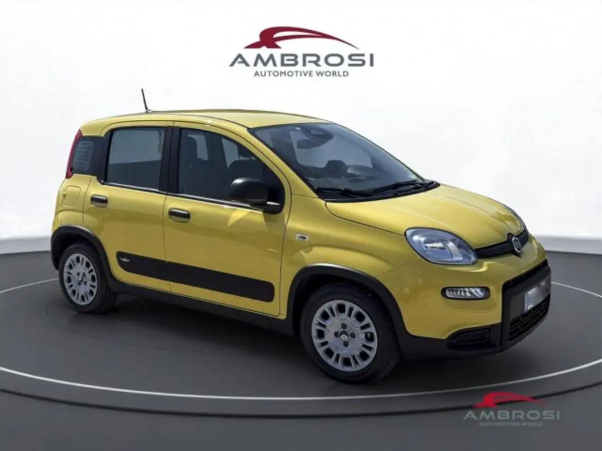 Fiat Panda usata a Perugia (2)