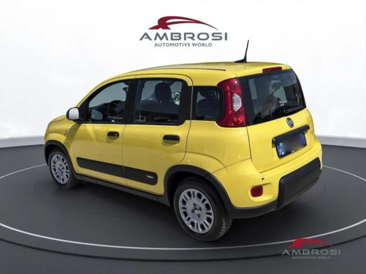 Fiat Panda usata a Perugia (4)