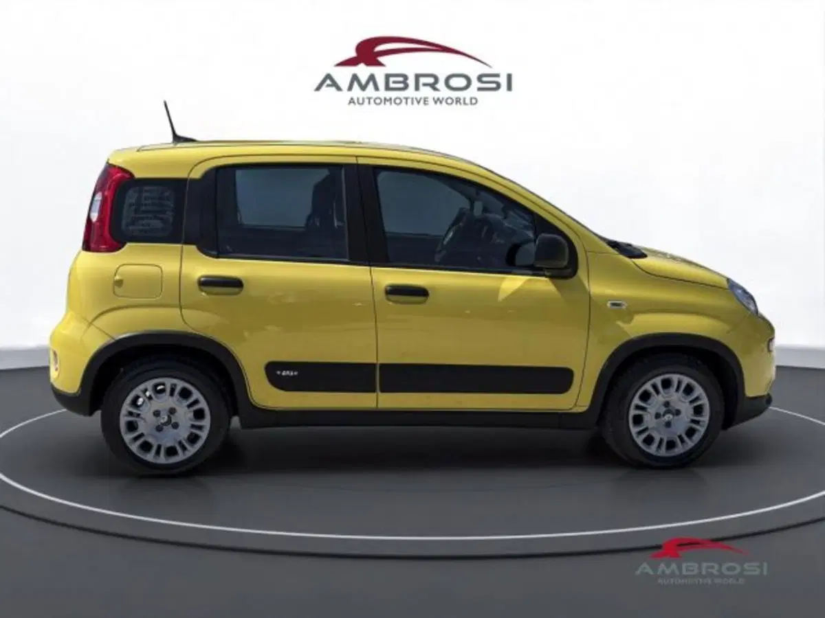Fiat Panda usata a Perugia (5)
