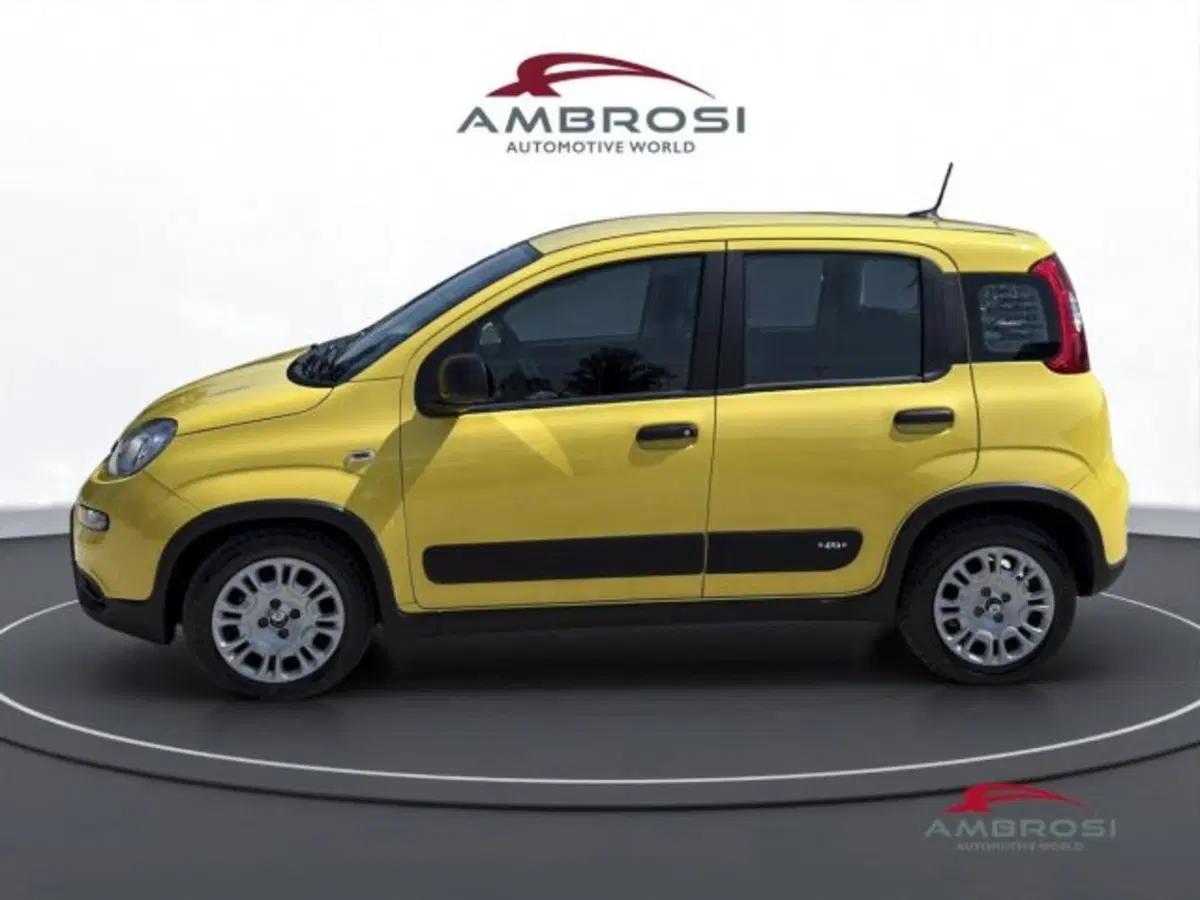 Fiat Panda usata a Perugia (6)