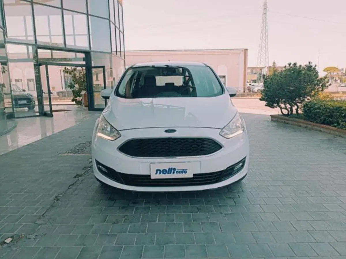 Ford C-Max usata a Pisa (12)