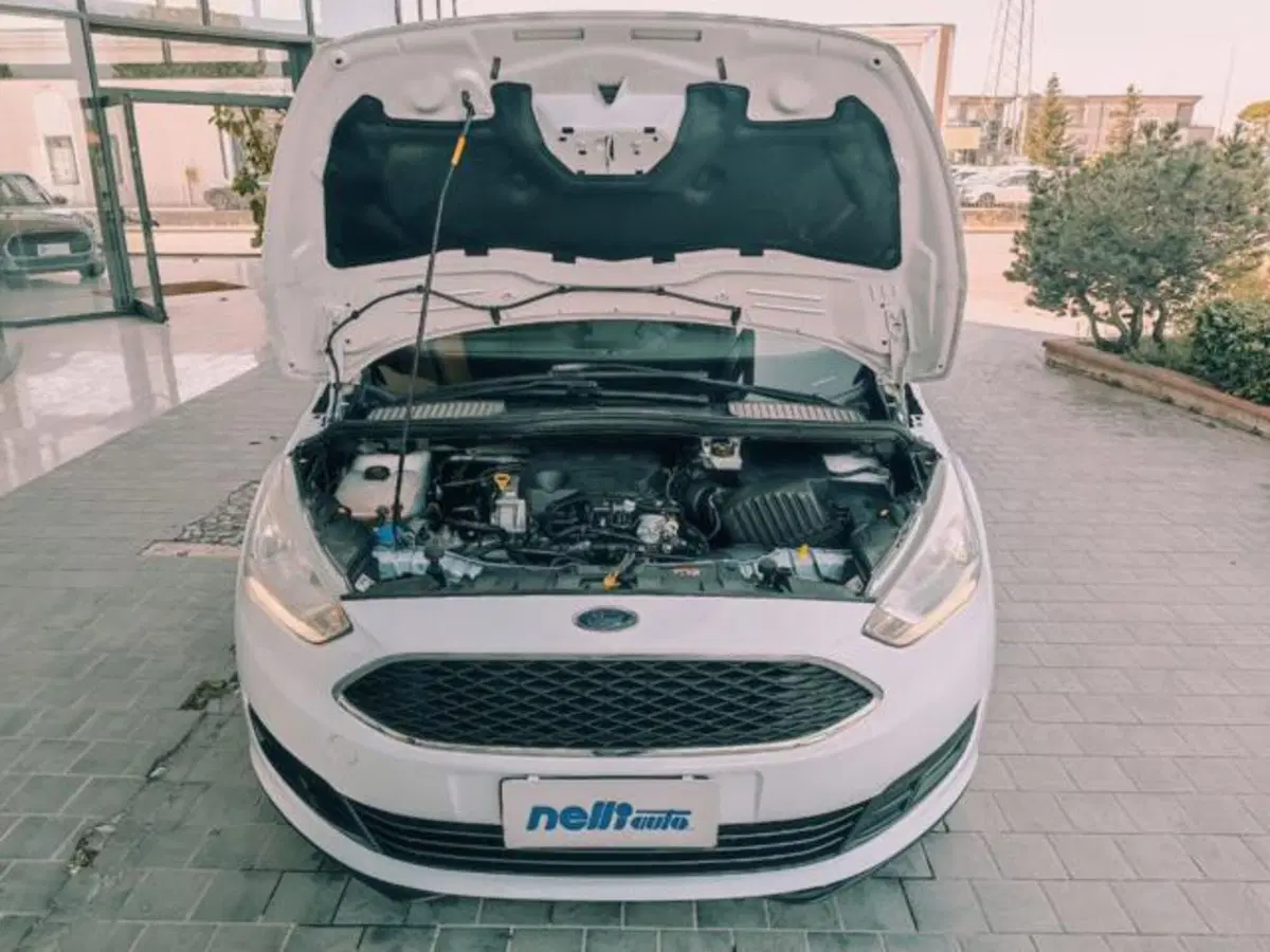 Ford C-Max usata a Pisa (14)