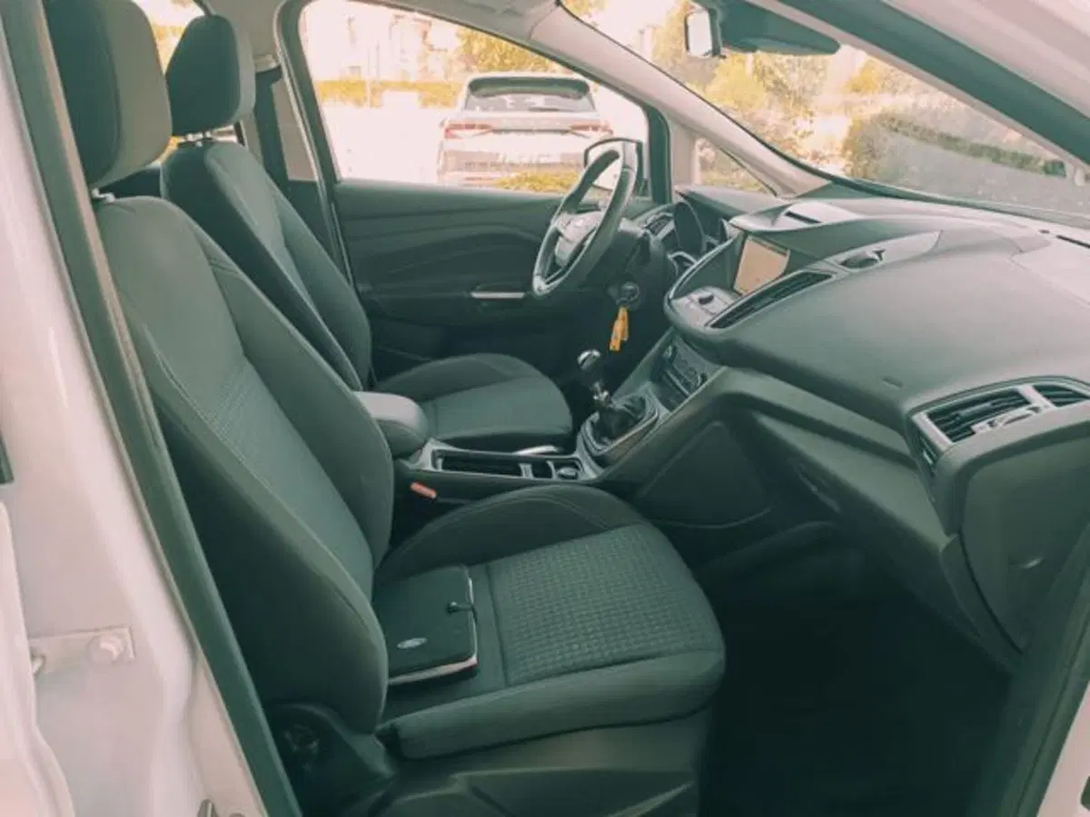 Ford C-Max usata a Pisa (15)