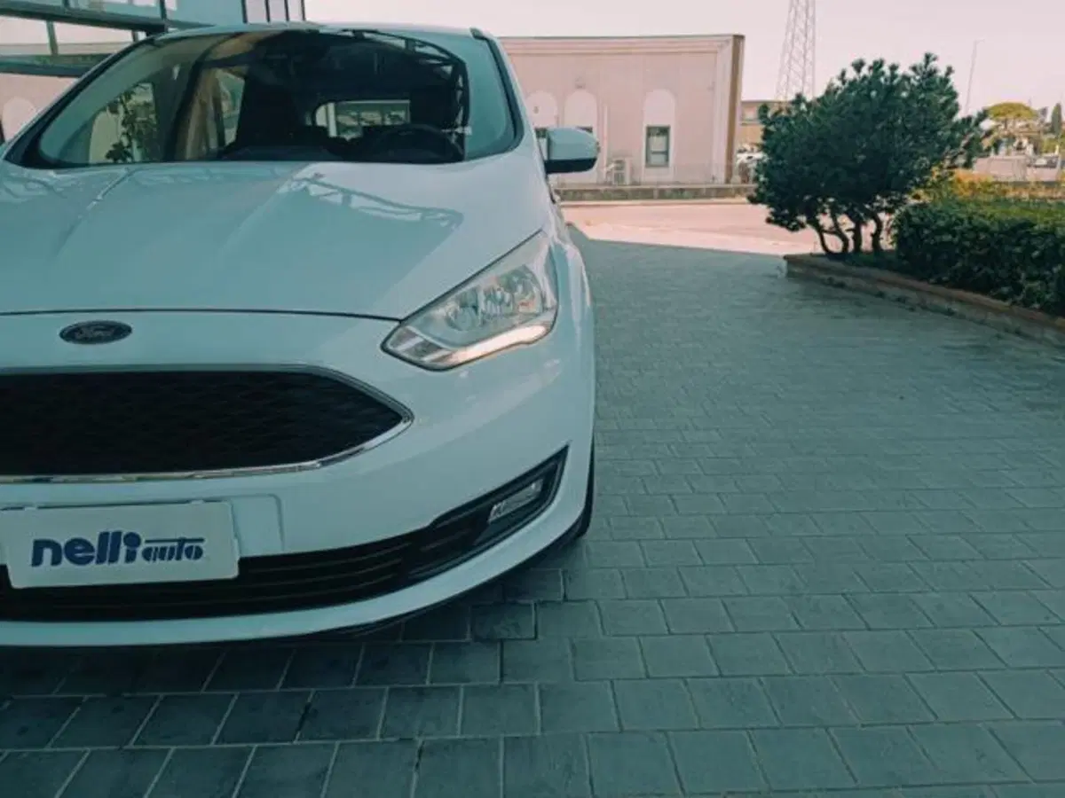 Ford C-Max usata a Pisa (17)