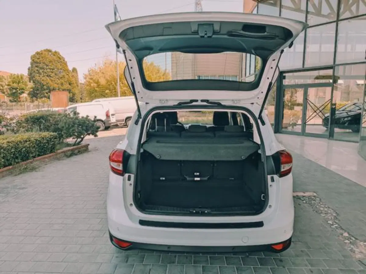 Ford C-Max usata a Pisa (20)