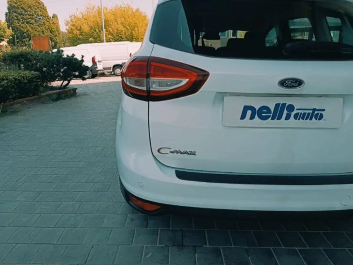 Ford C-Max usata a Pisa (4)