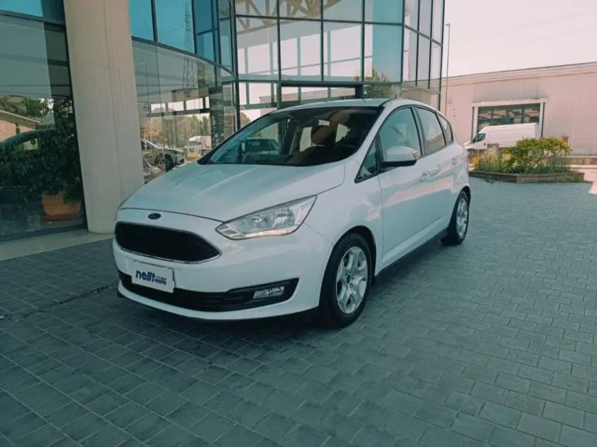 Ford C-Max usata a Pisa (5)