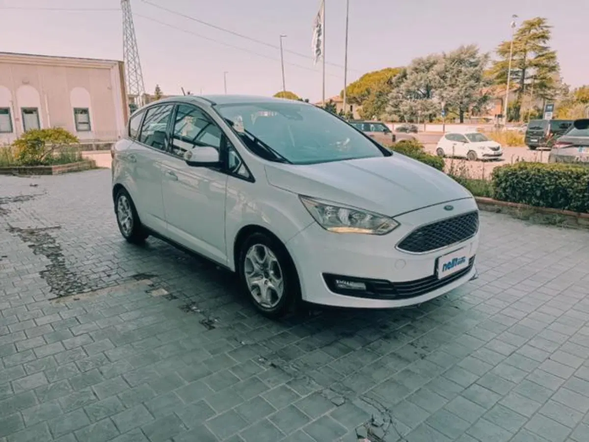 Ford C-Max usata a Pisa (8)