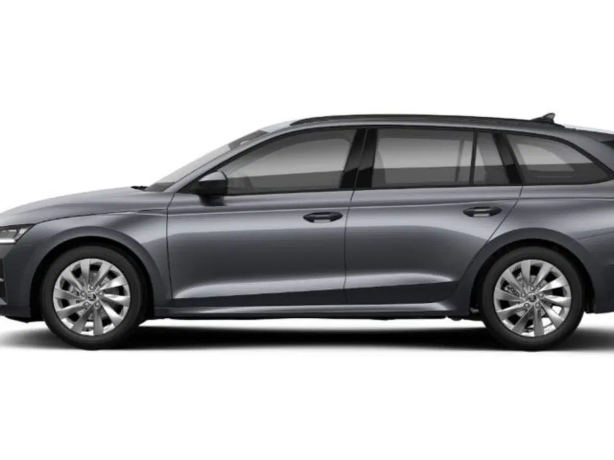 Skoda Octavia Station Wagon nuova a Vicenza (2)