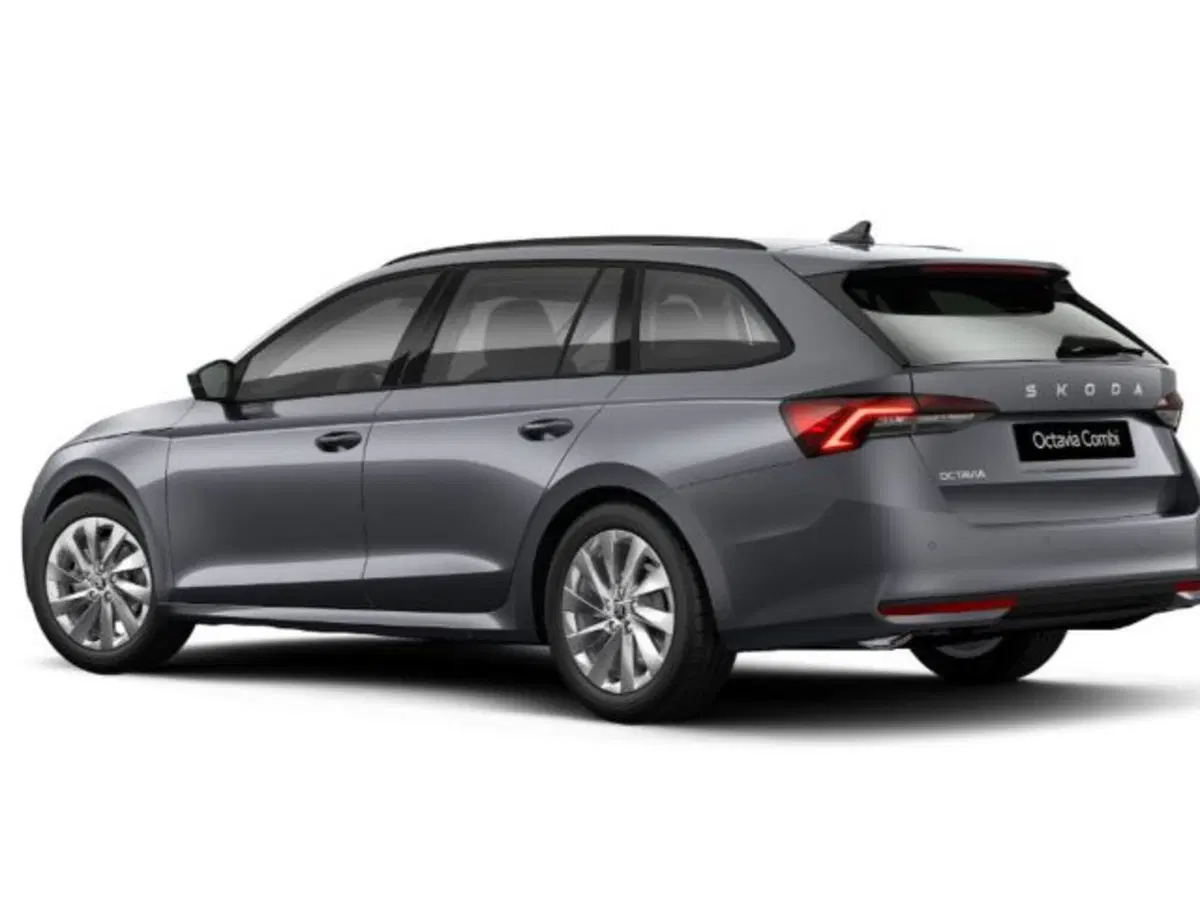 Skoda Octavia Station Wagon nuova a Vicenza (3)