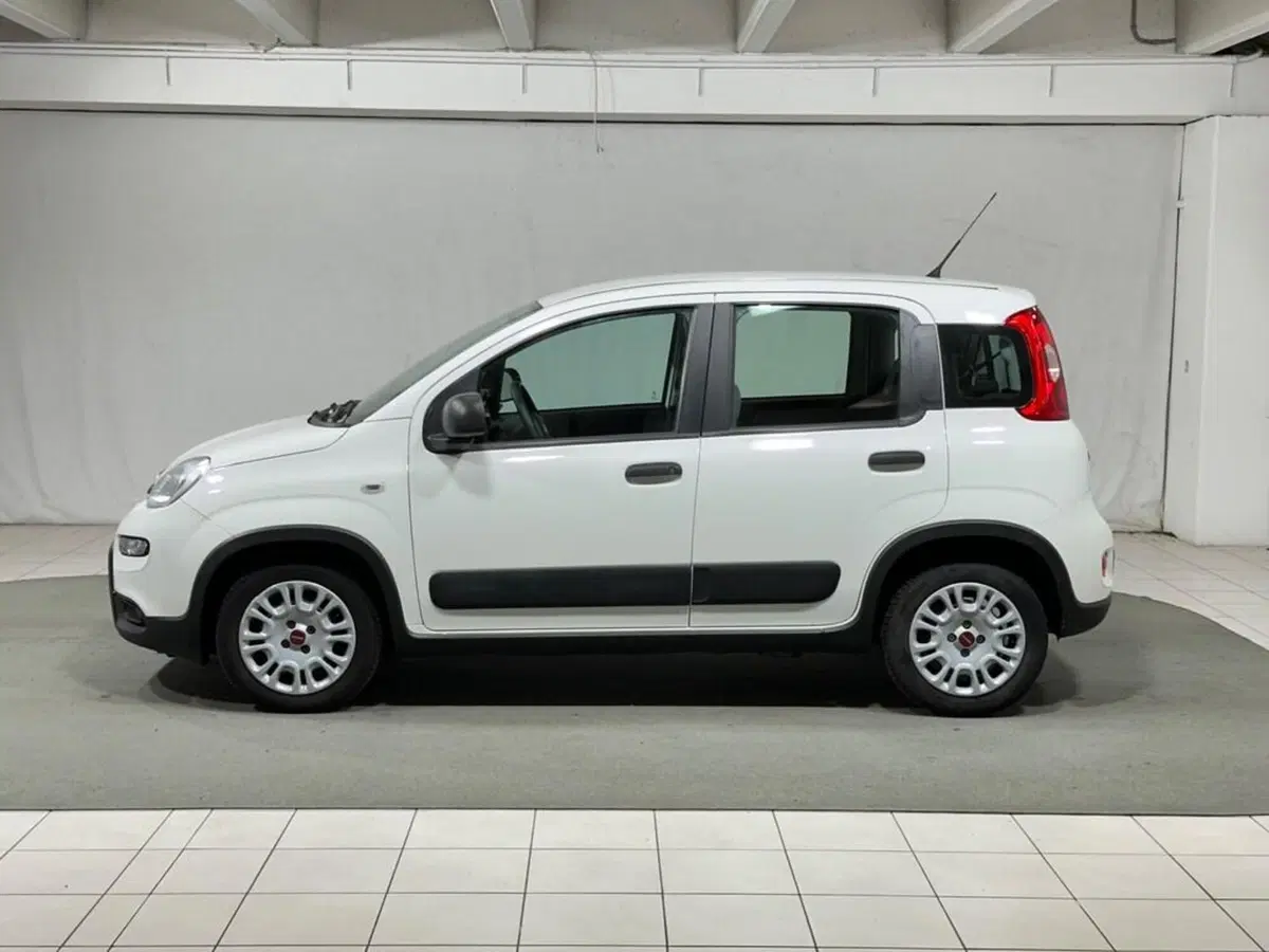 Fiat Panda usata a Sondrio (2)
