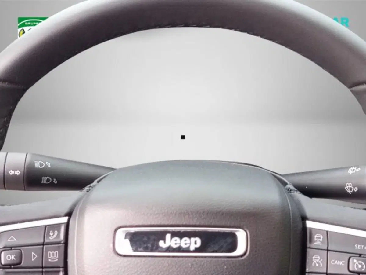 Jeep Compass usata a Frosinone (14)