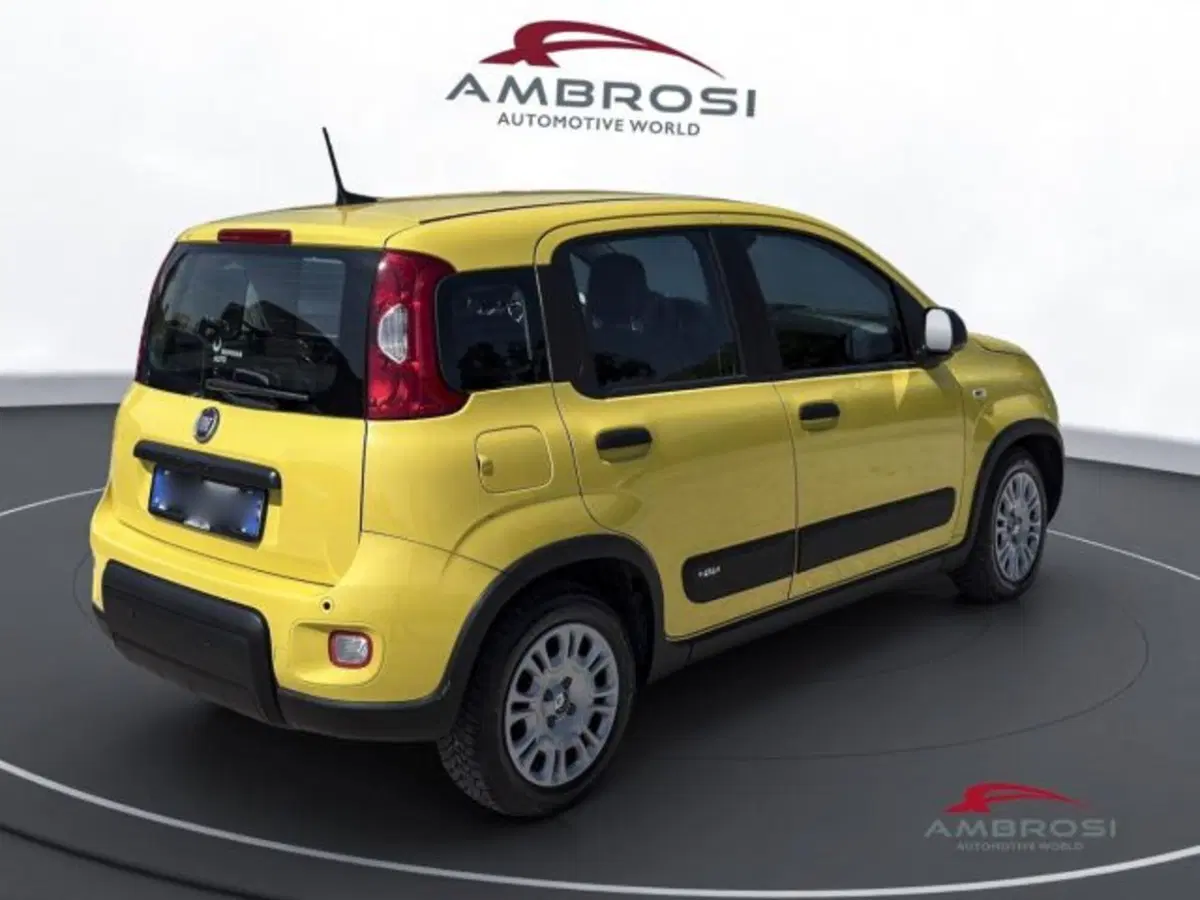 Fiat Panda usata a Perugia (3)