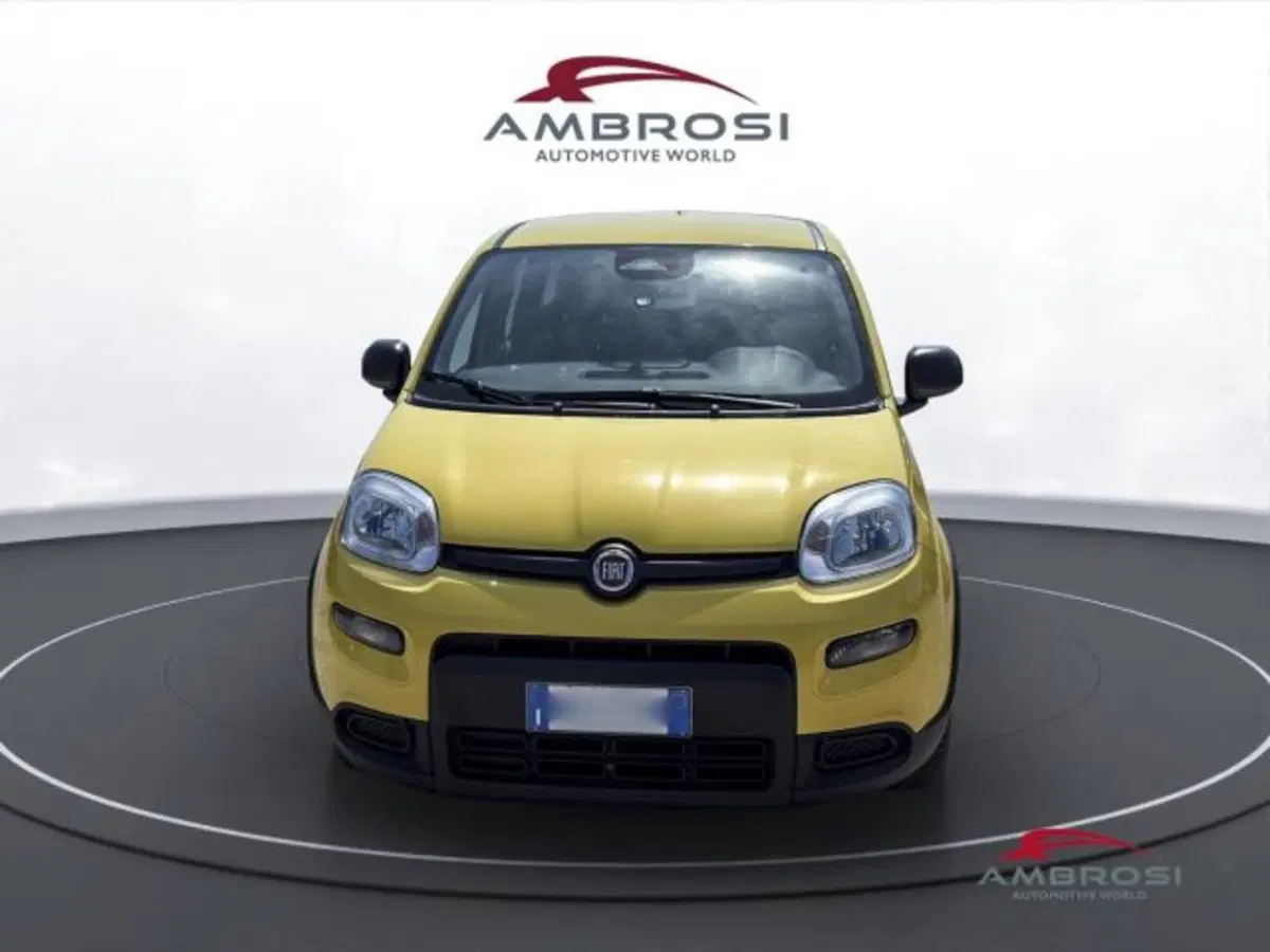 Fiat Panda usata a Perugia (7)