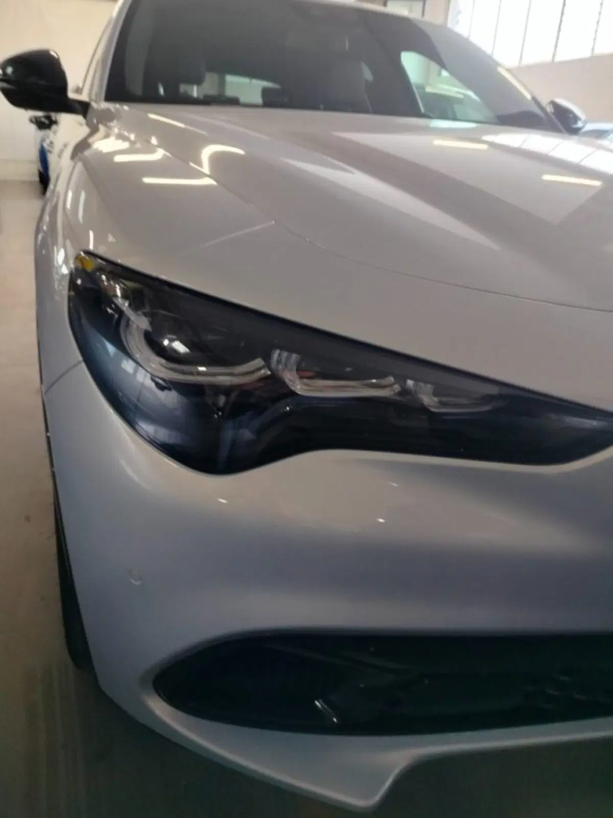 Alfa Romeo Stelvio usata a Forlì-Cesena (14)