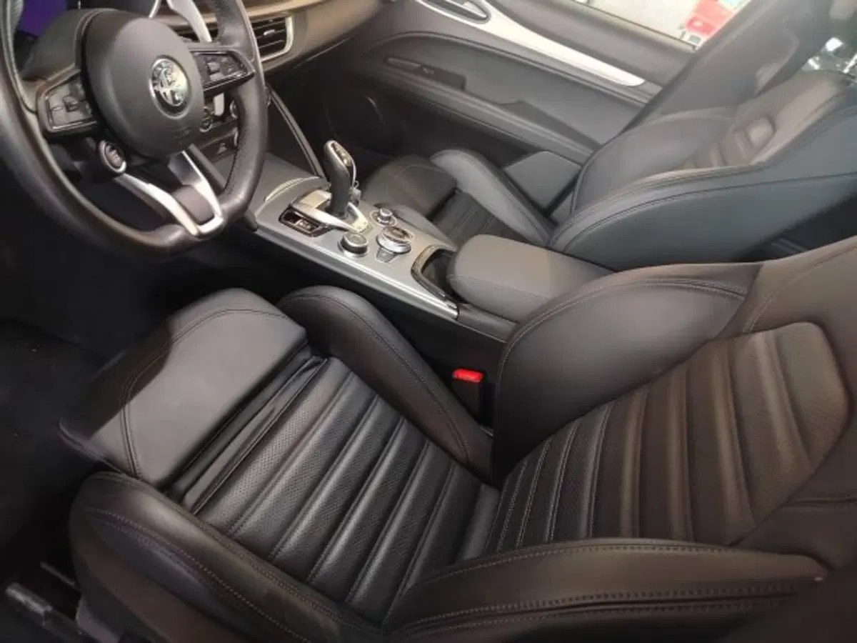Alfa Romeo Stelvio usata a Forlì-Cesena (16)