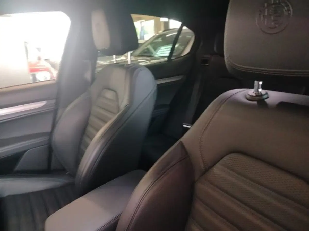 Alfa Romeo Stelvio usata a Forlì-Cesena (17)