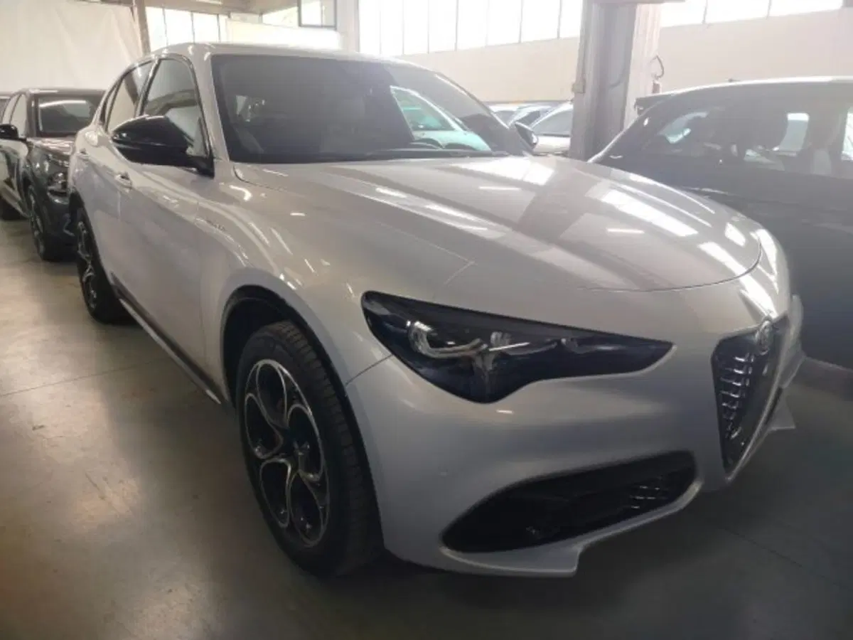 Alfa Romeo Stelvio usata a Forlì-Cesena (2)