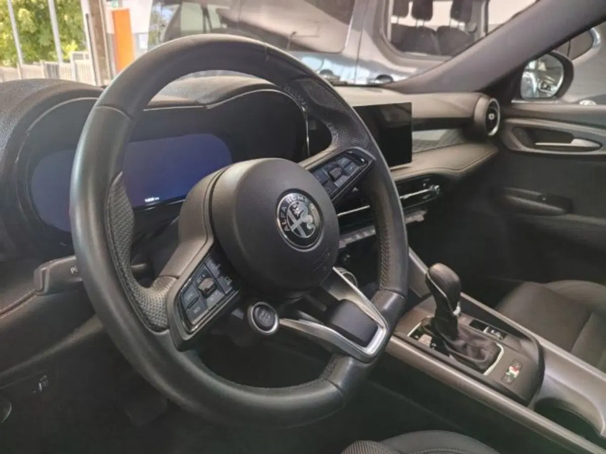 Alfa Romeo Tonale usata a Forlì-Cesena (19)