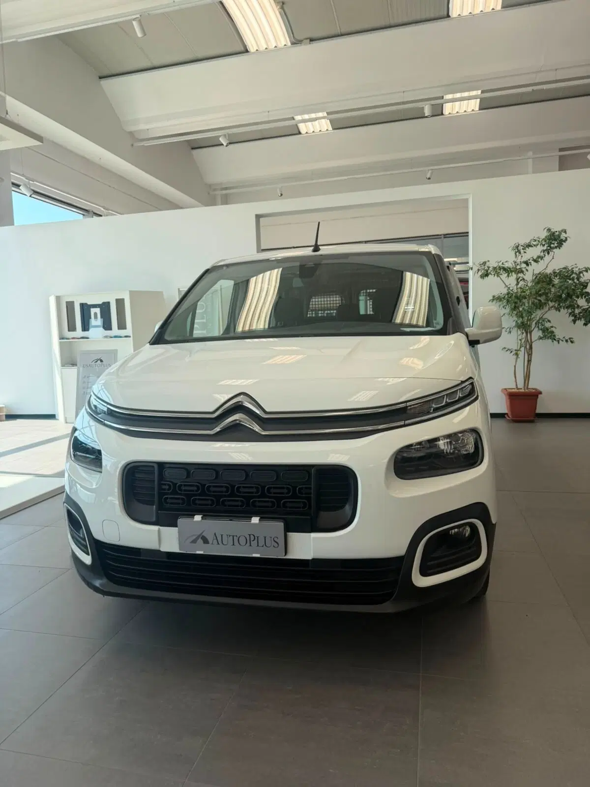 Citroen Berlingo usata a Sassari (2)