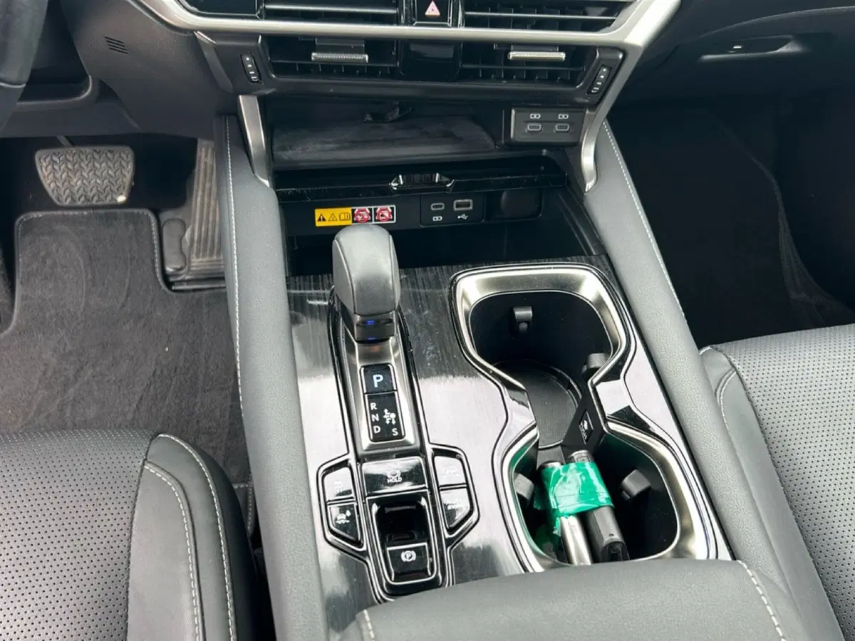 Lexus RX usata a Piacenza (14)