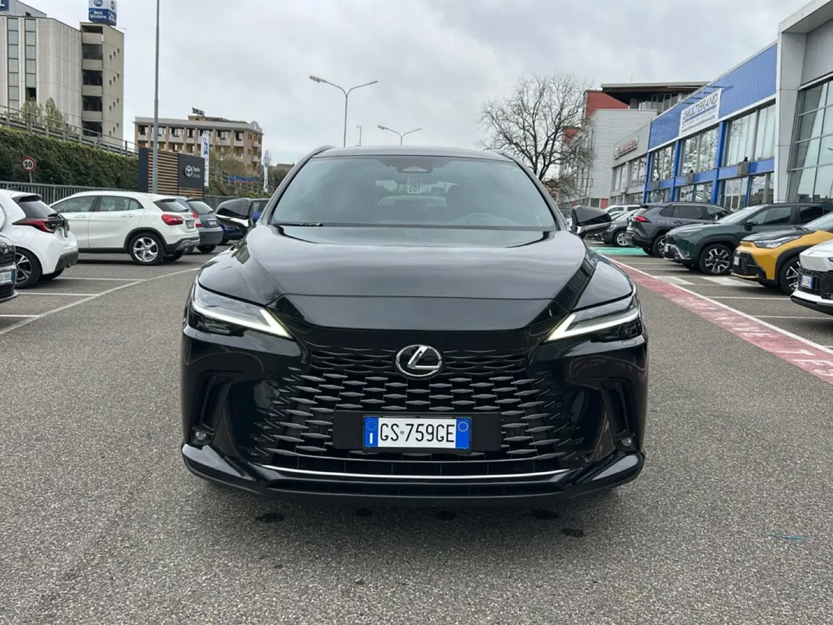 Lexus RX usata a Piacenza (2)