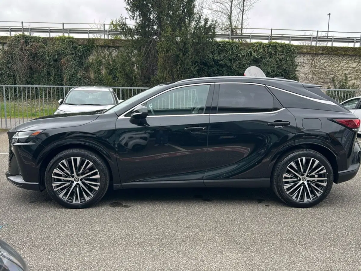 Lexus RX usata a Piacenza (3)