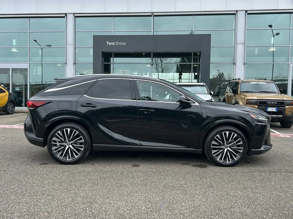 Lexus RX usata a Piacenza (7)