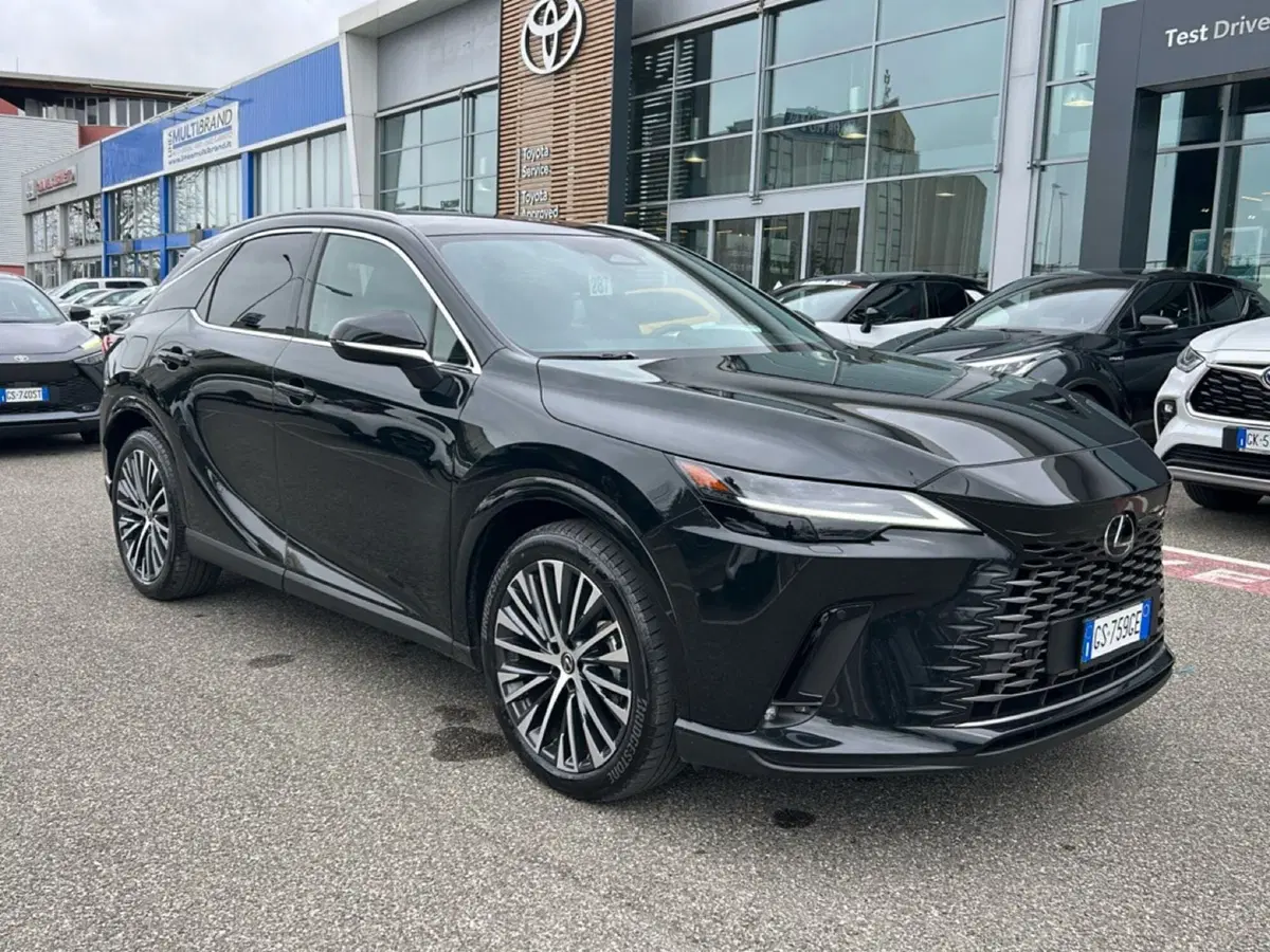 Lexus RX usata a Piacenza (8)