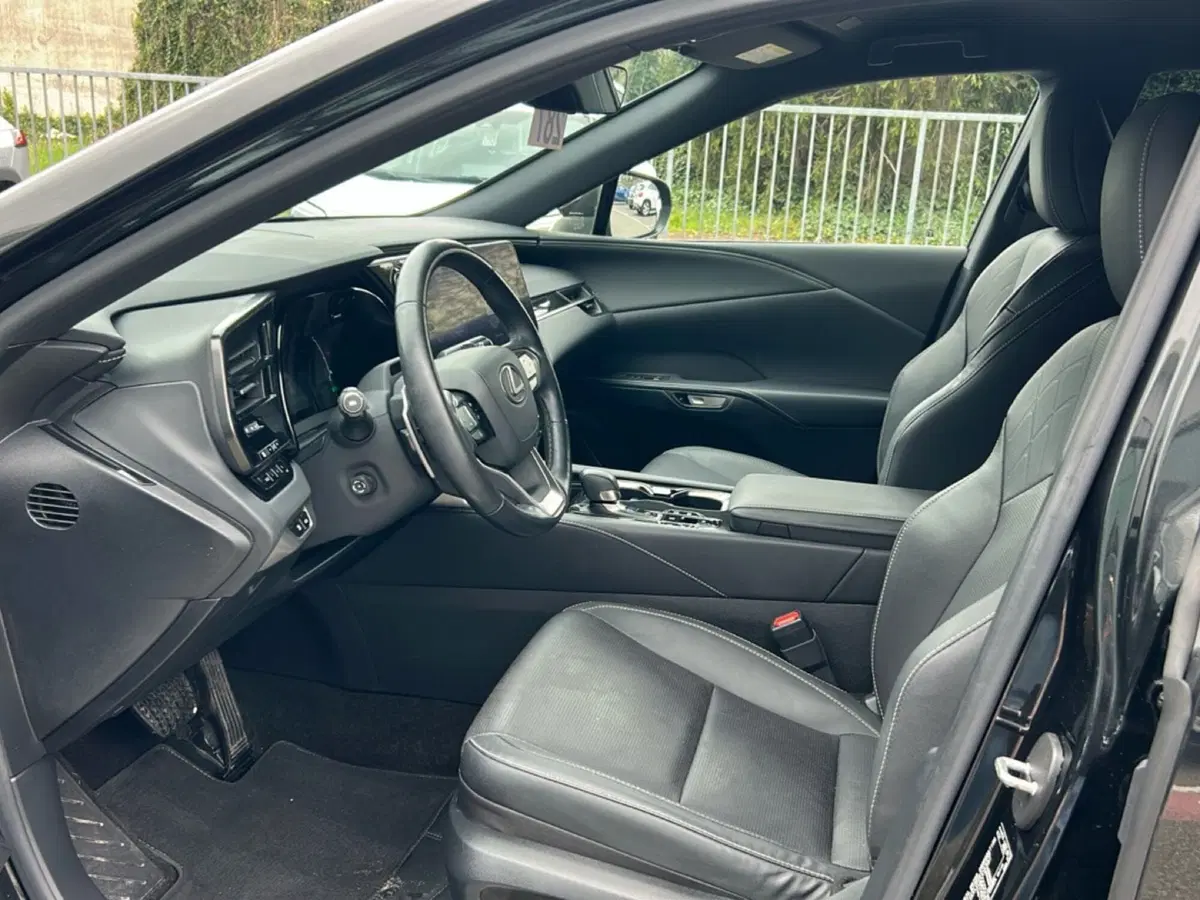 Lexus RX usata a Piacenza (9)