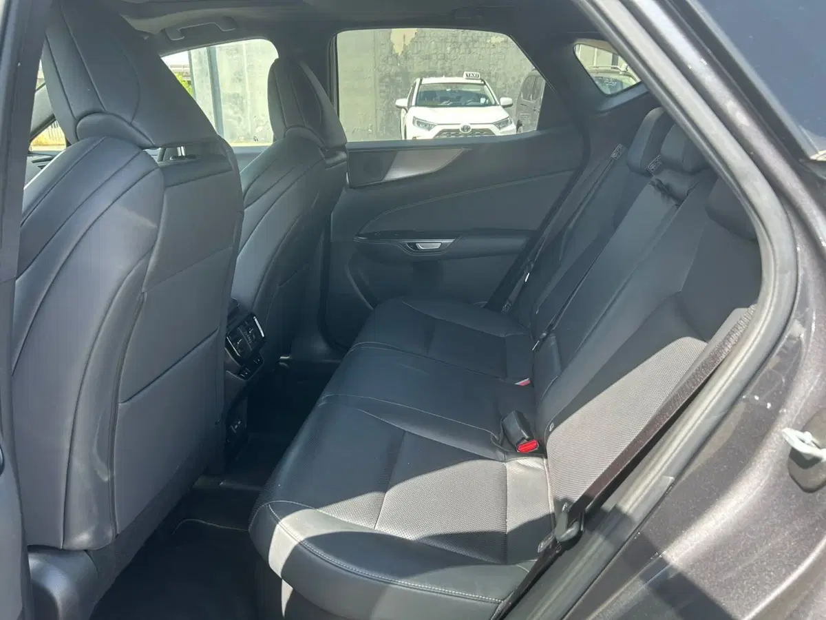 Lexus NX usata a Piacenza (11)