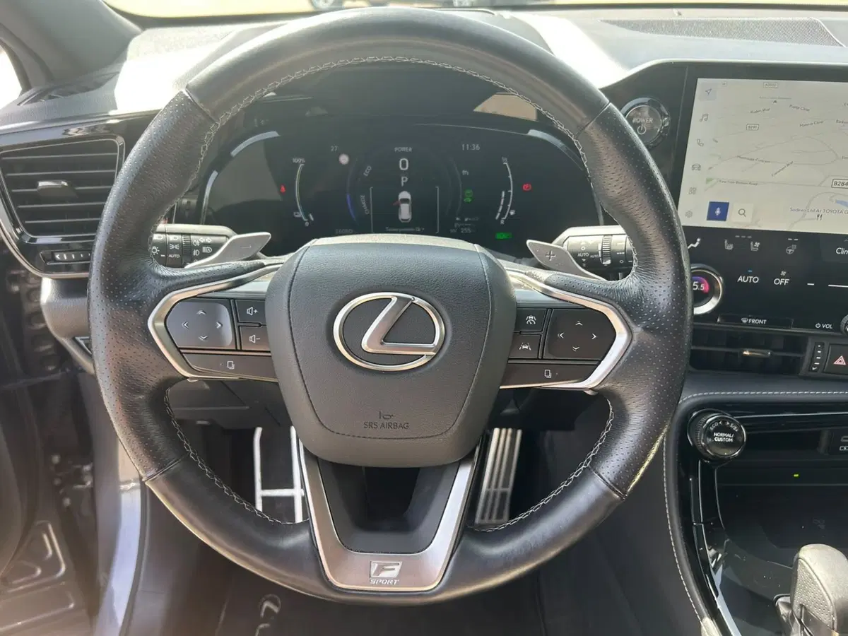 Lexus NX usata a Piacenza (17)