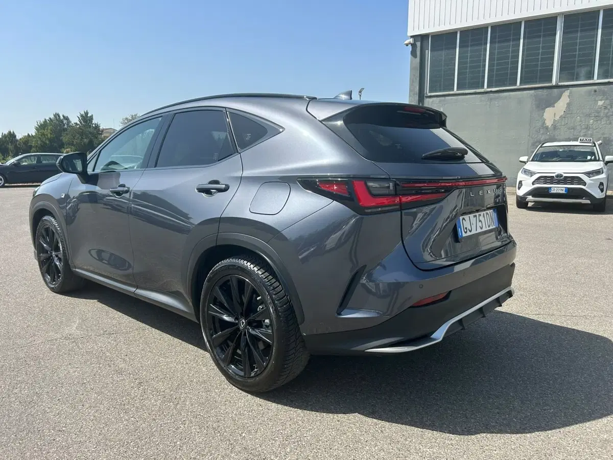 Lexus NX usata a Piacenza (2)
