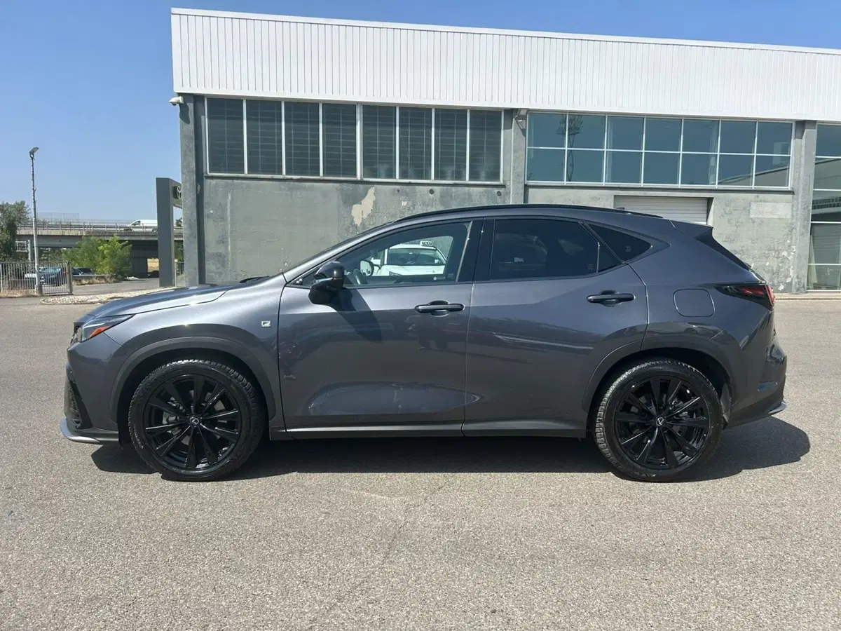 Lexus NX usata a Piacenza (4)