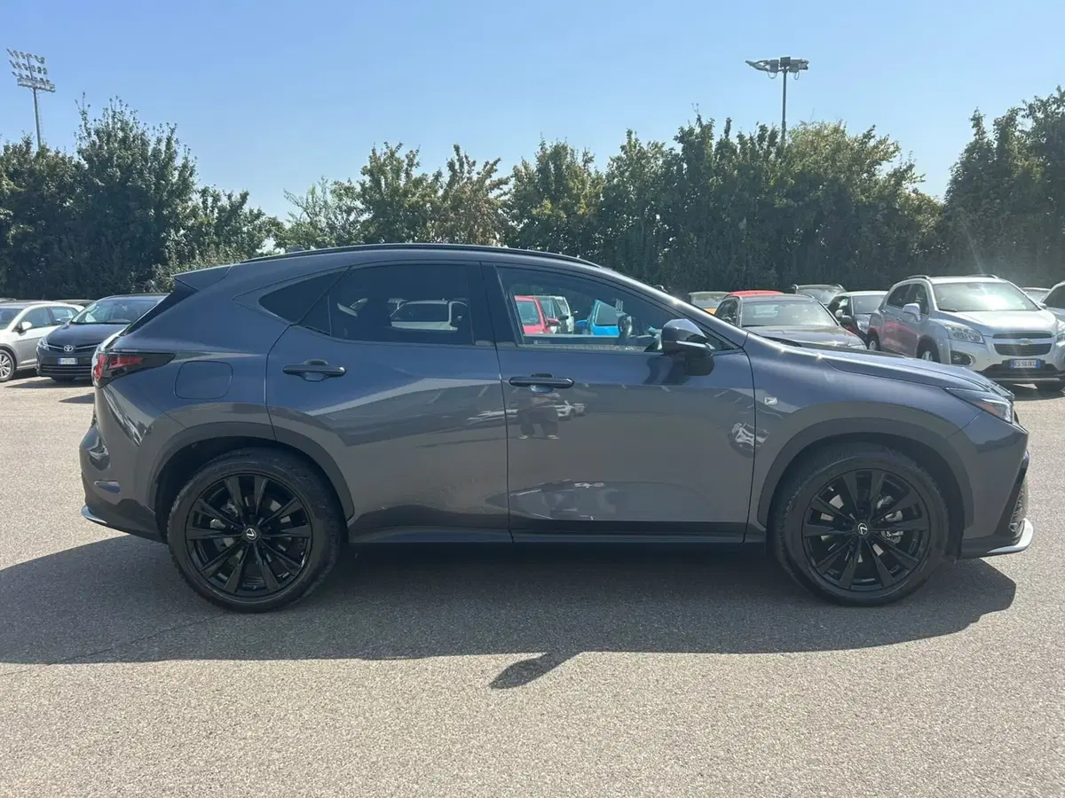 Lexus NX usata a Piacenza (6)