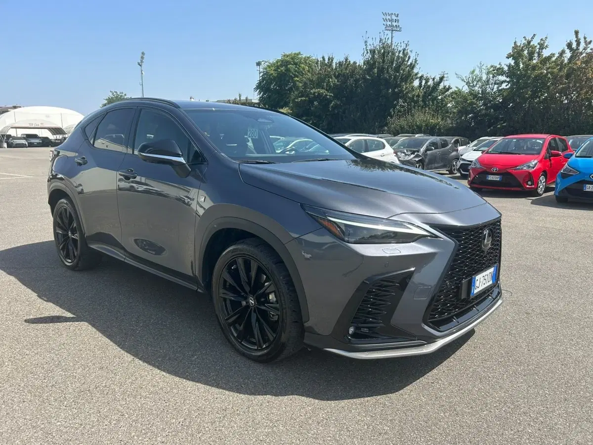 Lexus NX usata a Piacenza (7)