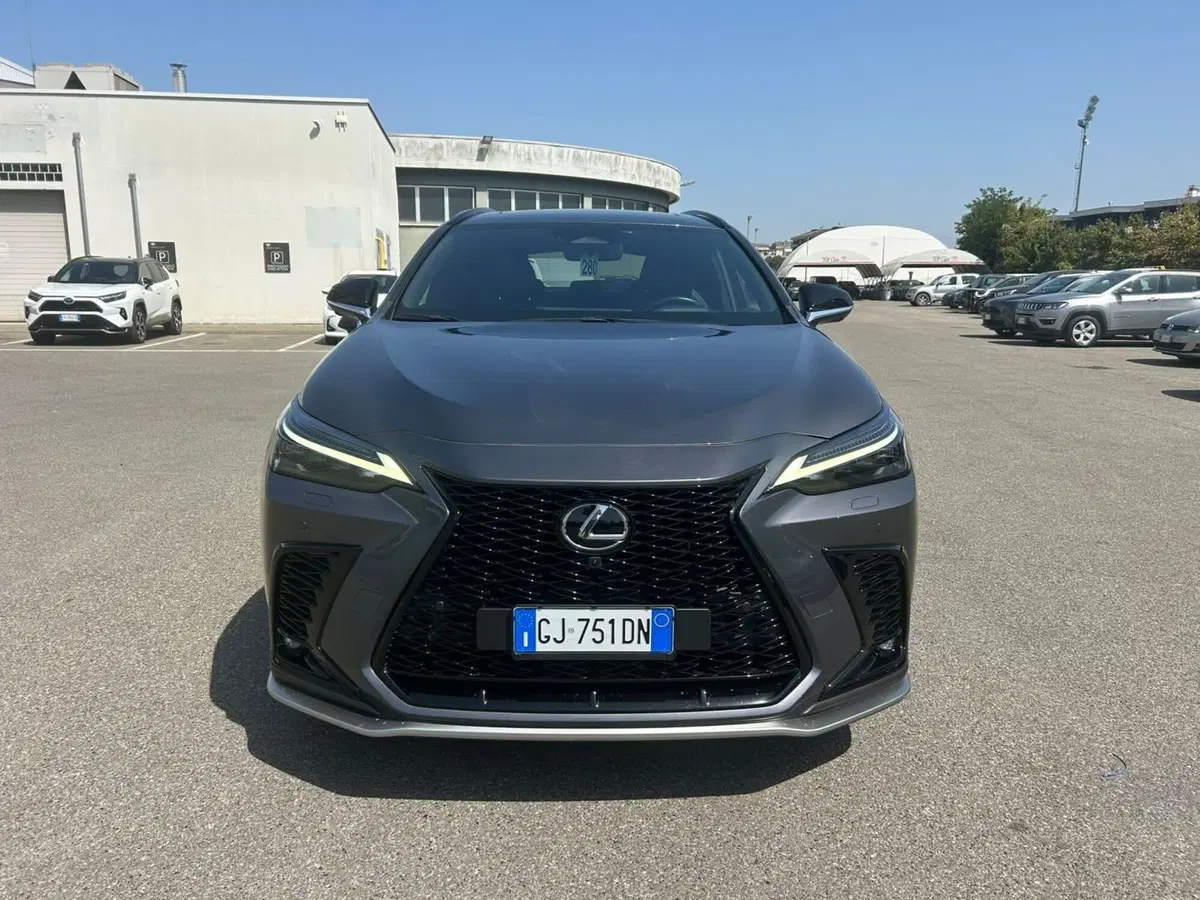 Lexus NX usata a Piacenza (8)