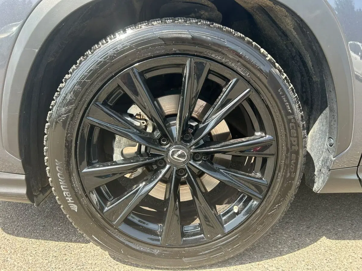 Lexus NX usata a Piacenza (9)