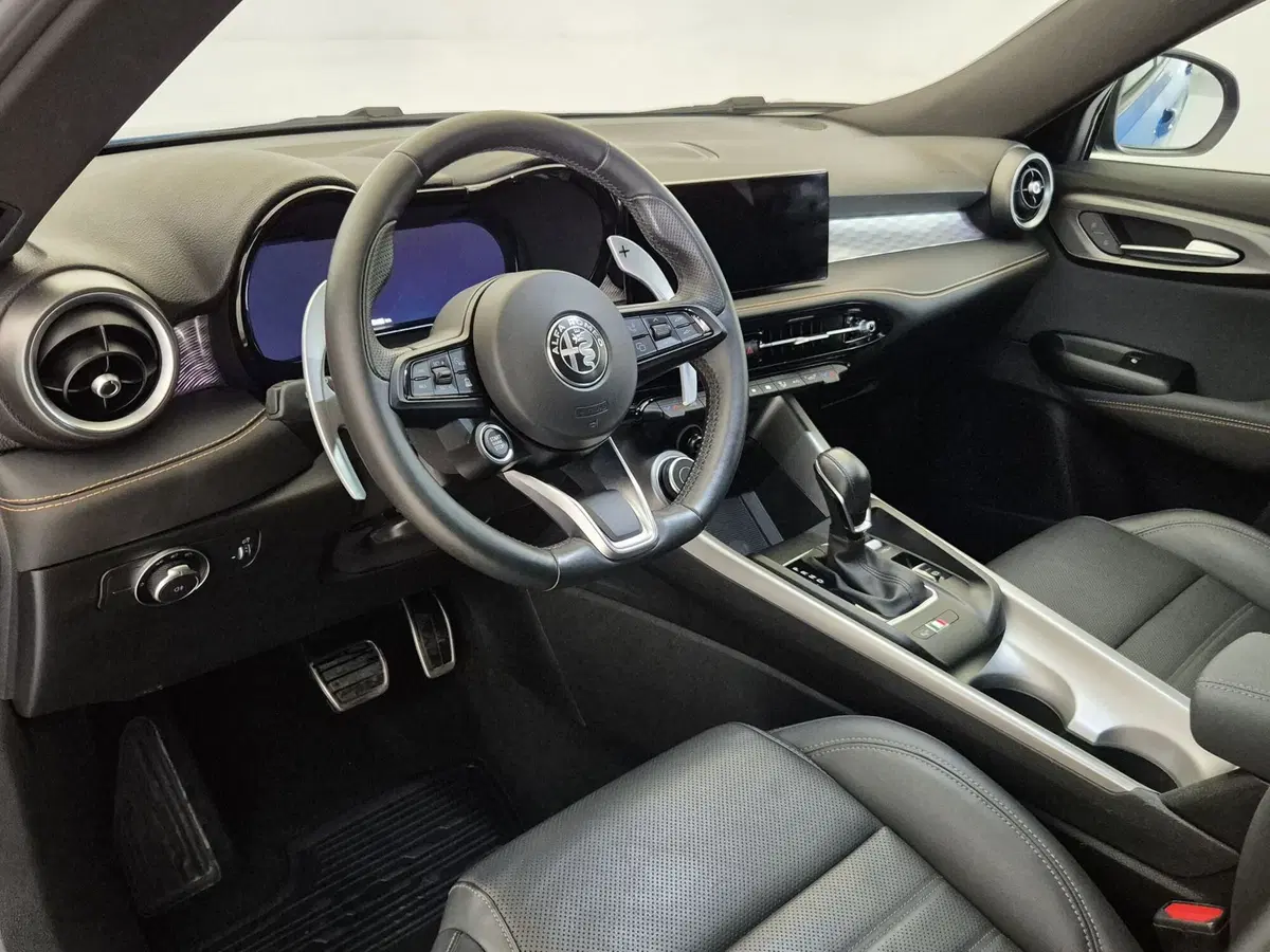 Alfa Romeo Tonale usata a Alessandria (6)