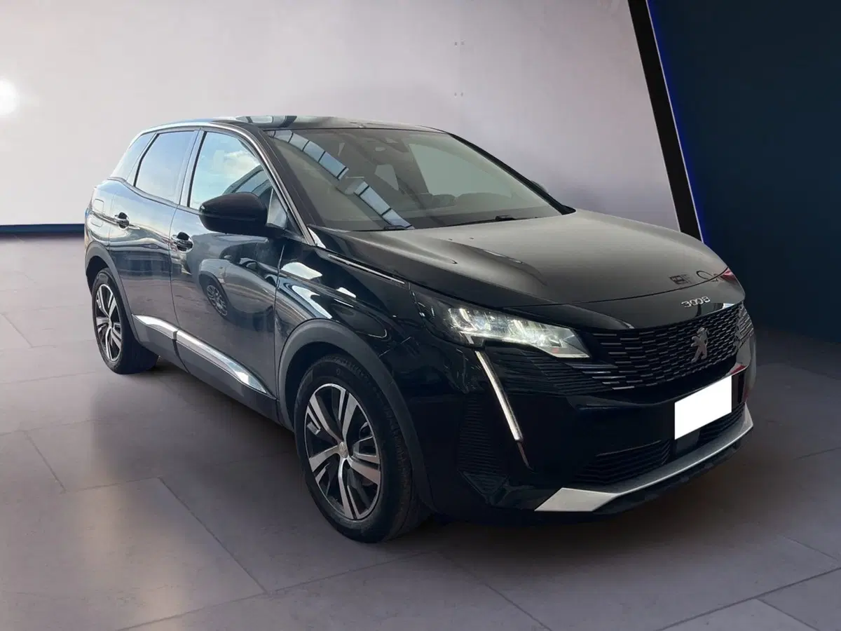 Peugeot 3008 usata a Torino (2)