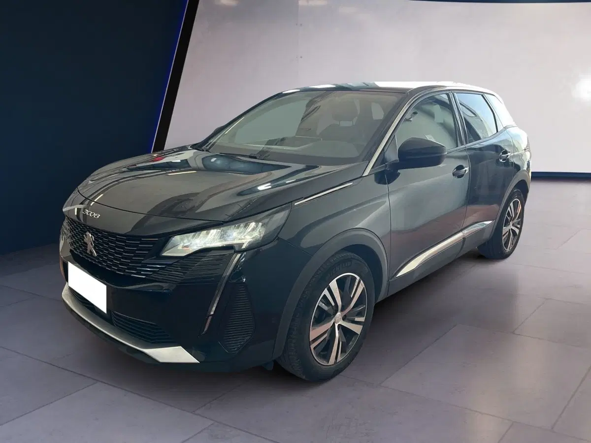 Peugeot 3008 usata a Torino (3)